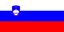 Slovenia flag